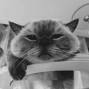 my baby, hannyang.